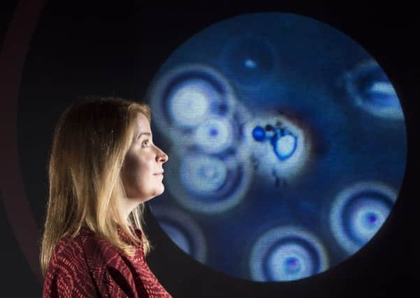 Exhibition curator Sophie Goggins  with at  an image of parasites under the microscope. Picture: Neil Hanna