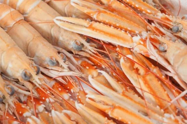 The firm is Scotlands top processor of langoustines. Picture: Contributed