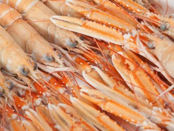 The firm is Scotlands top processor of langoustines. Picture: Contributed