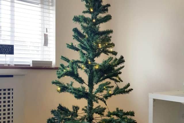 She said the 6ft decoration looks nothing like the bushy tree on the website. Picture: SWNS
