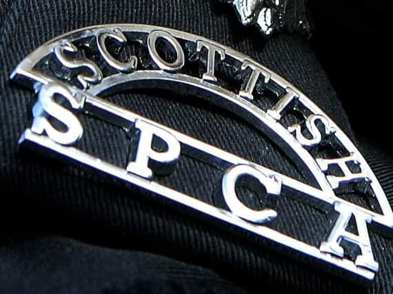 The nine-year-old dog was microchipped and the Scottish SPCA found she had been sold four years ago and had a severe mammary tumour which had been left untreated.