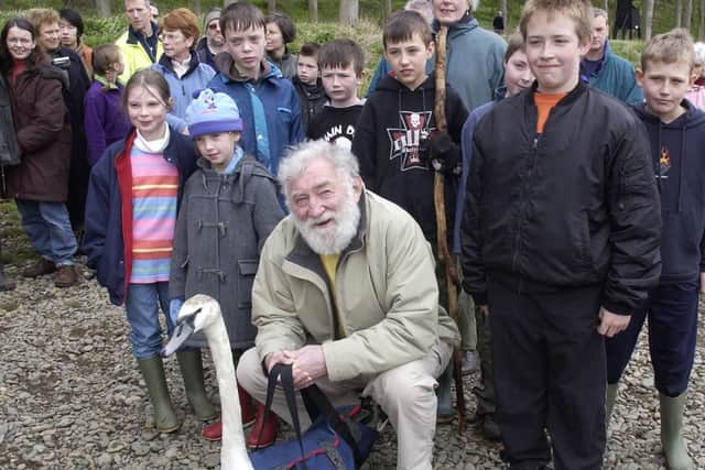 David Bellamy in 2004