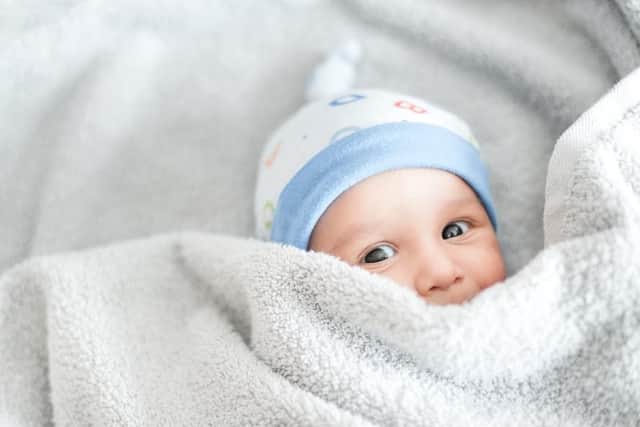 Moving up seven spaces since last year is Charlie, with 288 babies with the name. The nickname for the name Charles, Charlie's origin translates to "free man"