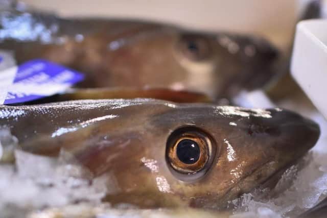 Scottish fishing's cod quotas for the North Sea have been cut by 50 per cent next year.