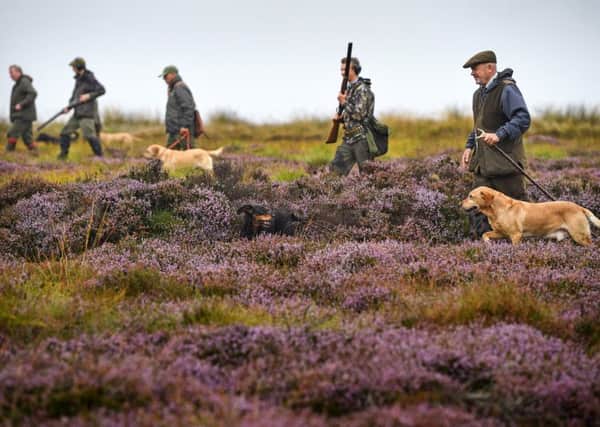 A shooting party sets off on Forneth Moor near Dunkeld (Picture: Jeff J Mitchell/Getty Images)