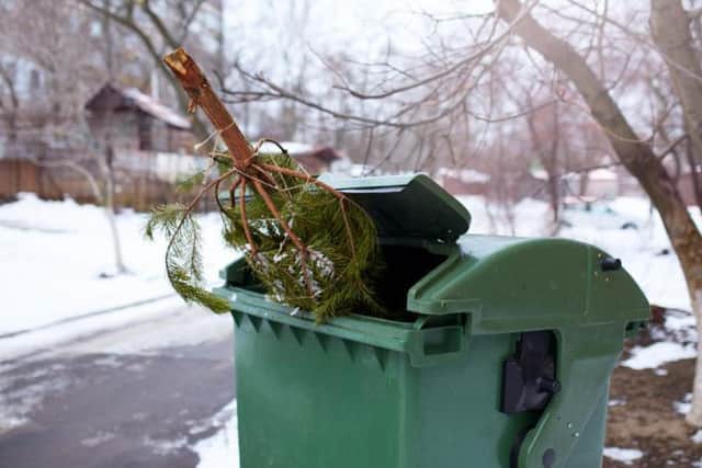 If you have a real tree, your council's website can advise you on disposing of it too. Picture: Shutterstock