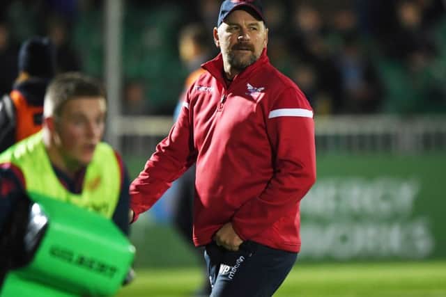 Expect Wayne Pivac's Wales side to be challenging for the Six Nations title. Pictire: SNS.