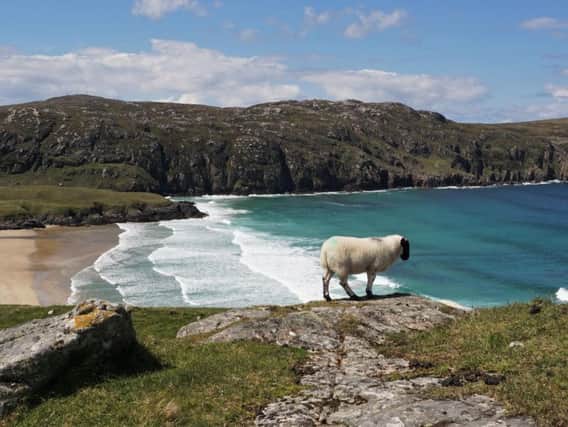 The festive edition of the popular BBC show will see the nuns and midwives leave London and Nonnatus House for the Hebridean islands, providing much-needed medical help for local residents.