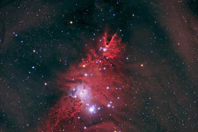 Made of thousands of stars with a distinctive red hue, the formation looks uncannily like a festive tree. Picture: SWNS