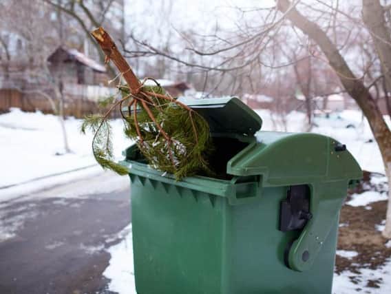 Extend your Christmas spirit into the new year by recycling your tree. Picture: Shutterstock