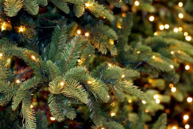 Real trees add an extra festive touch to Christmas but they can be tricky to get rid of afterwards. Picture: Shutterstock