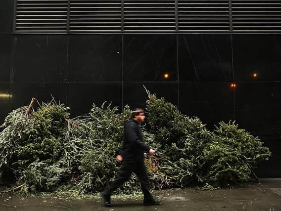 Knowing when to discard your Christmas tree can save you a bout of bad luck (Getty Images)