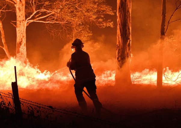 A firefighter in Australia hoses down trees and flying embers in an attempt to save nearby homes. Picture: AFP/Getty