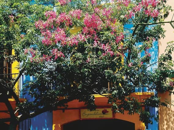 Casa de las Bugambilias,an 11-roomed boutique B&B in downtonw Oaxaca