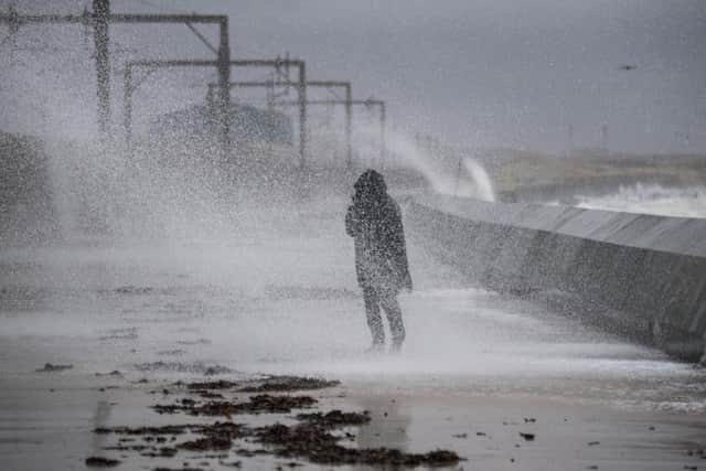 The winds have caused travel chaos across Scotland. Picture: John Devlin