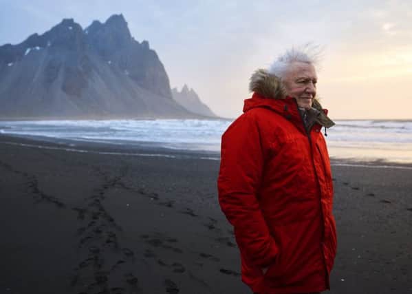 Programme Name: Seven Worlds, One Planet - TX: n/a - Episode: n/a (No. n/a) - Picture Shows: *EARLY RELEASE no embargo* Sir David Attenborough on windy Stokksnes beach in Iceland filming for Seven Worlds, One Planet.Social Media UseUnless specified to the contrary below, it is permitted to post the image on social network sites such as Facebook provided they are reduced to 72dpi and no more than 720 x 491 pixels in size and the programme title and full copyright credit. Sir David Attenborough - (C) BBC NHU - Photographer: Alex Board