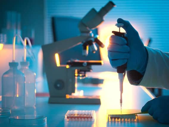 The follow-on funding will help Elasmogen develop shark-inspired treatments for cancer and arthritis. Picture: Contributed