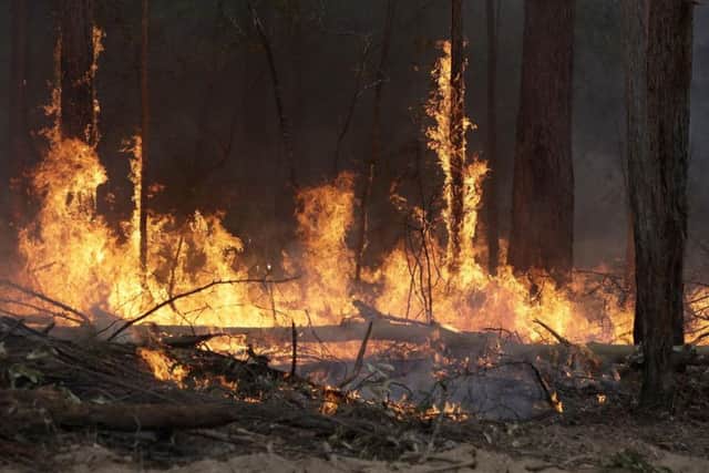 A firefighter has been killed while battling the Australian wildfire crisis, taking the death toll to 27 people since September.