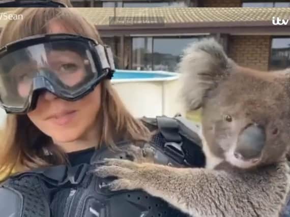 Debi Edward reluctantly holding a koala bear which at the time she believed to be a venomous and dangerous beast   picture: ITV News