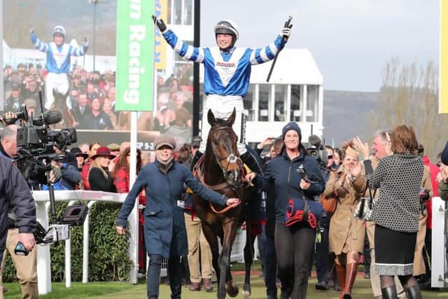 Tipped for success: Frodon. Picture: submitted