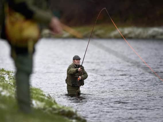 Some angling clubs say their memberships are declining because of the inability to kill and take home salmon.