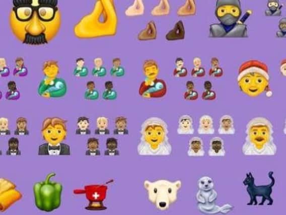 The website Emojipedia, which is part of the Unicode Consortium and details icons found in updates, said: "Announced today by the Unicode Consortium, the 117 new emojis form part of Emoji 13.0 and will come to most platforms in the second half of 2020." Picture: Unicode Consortium