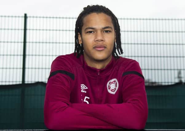 Hearts manager Daniel Stendel has already brought in Toby Sibbick. Picture: Ross MacDonald/SNS