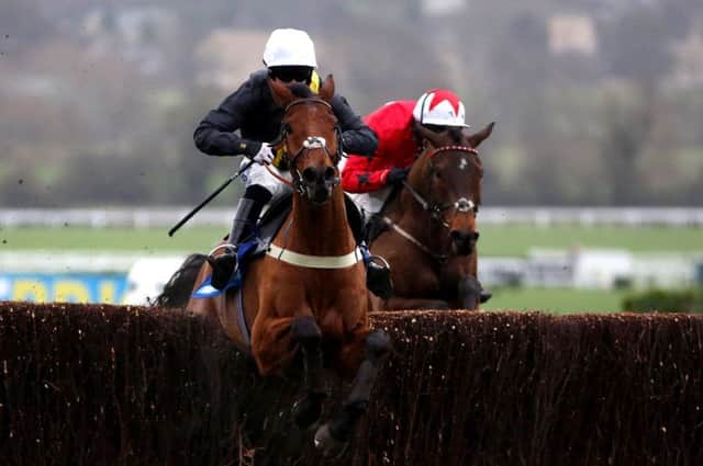 Seeyouatmidnight clears the last to win the Dipper Novices Chase at Cheltenham in 2016. Picture: Alan Crowhurst/Getty Images