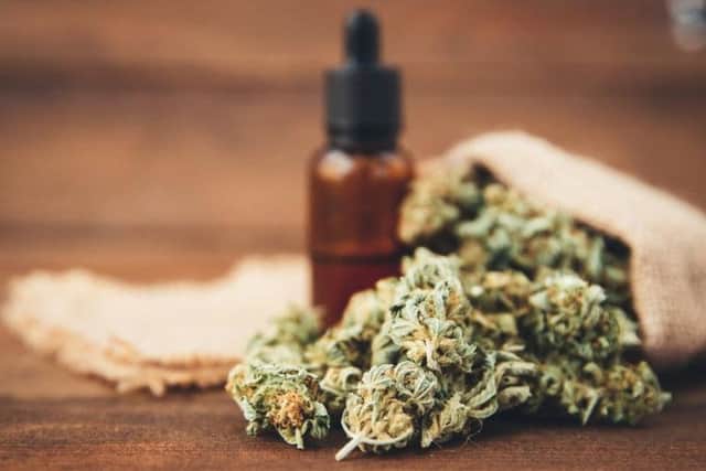 CBD oil does come from marijuana but it won't get you high. Picture: Shutterstock