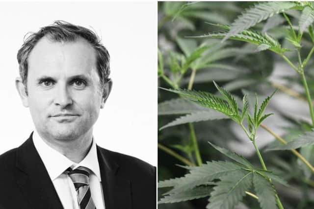 Managing Director of Sapphire Medical Clinics and Academic Lead Dr Mikael Sodergren said he has already seen how medicinal cannabis is transforming lives    picture: supplied