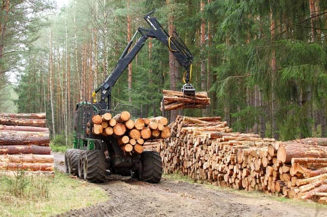 If you love working in the great outdoors, we've got just the job for you (Photo: Shutterstock)