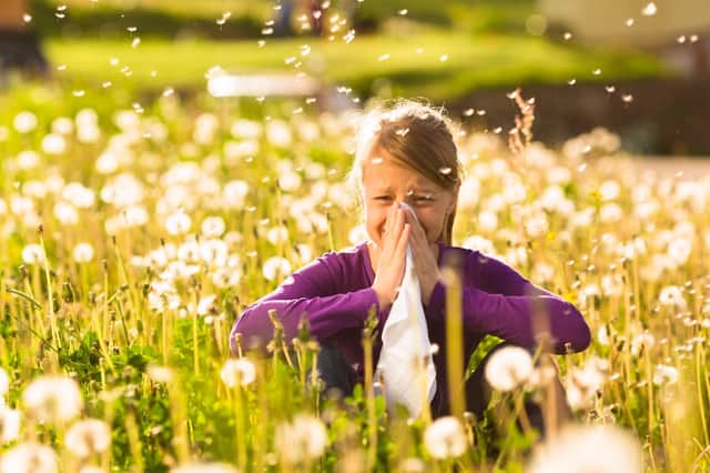 Grass pollen is the most common hay fever allergy, affecting 90 per cent of sufferers (Credit: Shuttershock)