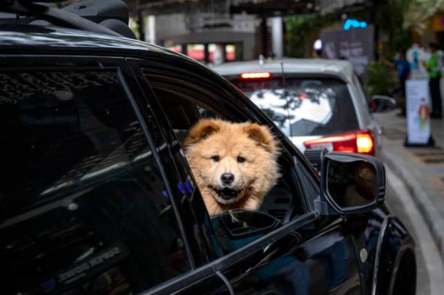 Did you know about these rules? (Photo: Ezra Acayan/Getty Images)