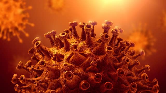 Kent Covid variant predicted to become the world’s most dominant strain (Photo: Shutterstock)